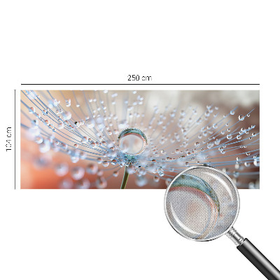 3D wall mural with a close-up of a dandelion seed with a water droplet