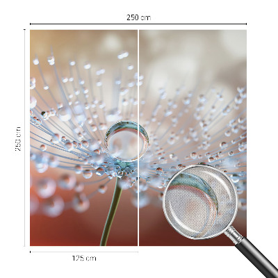 3D wall mural with a close-up of a dandelion seed with a water droplet