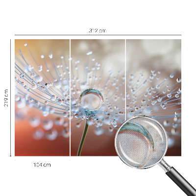 3D wall mural with a close-up of a dandelion seed with a water droplet