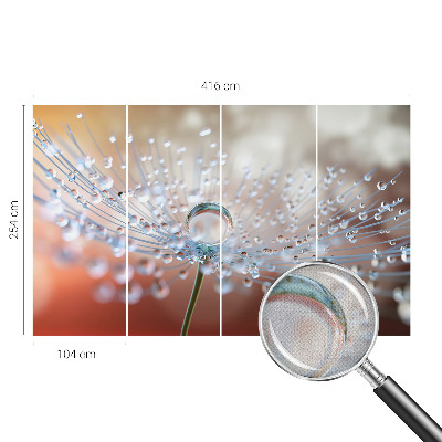 3D wall mural with a close-up of a dandelion seed with a water droplet