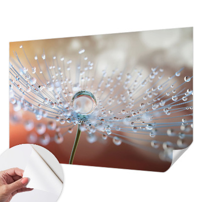 3D wall mural with a close-up of a dandelion seed with a water droplet