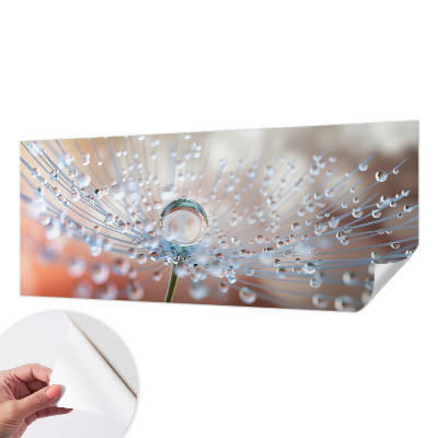 3D wall mural with a close-up of a dandelion seed with a water droplet