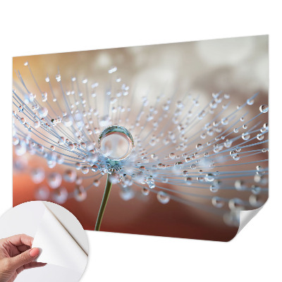 3D wall mural with a close-up of a dandelion seed with a water droplet