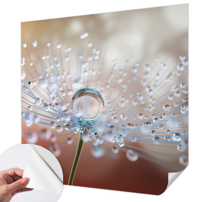 3D wall mural with a close-up of a dandelion seed with a water droplet