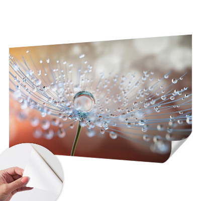 3D wall mural with a close-up of a dandelion seed with a water droplet