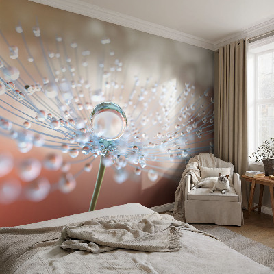 3D wall mural with a close-up of a dandelion seed with a water droplet