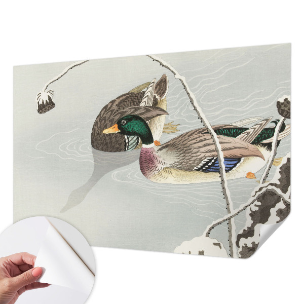 Nursery wall mural Calm ducks