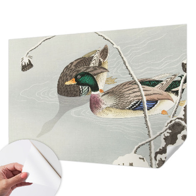 Nursery wall mural Calm ducks