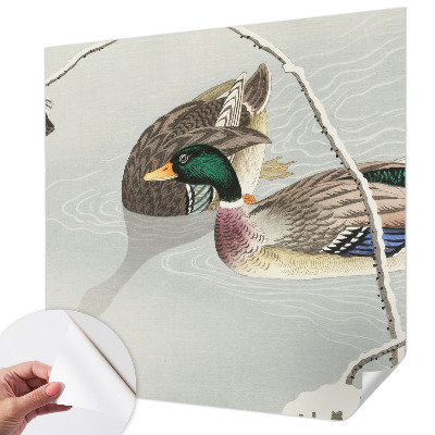 Nursery wall mural Calm ducks