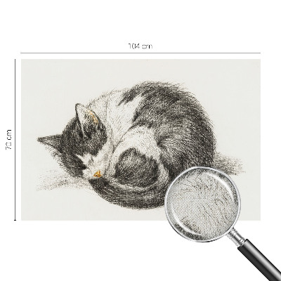3D photo wallpaper mural Adorable kitty