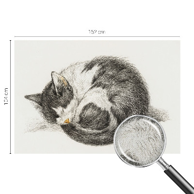 3D photo wallpaper mural Adorable kitty