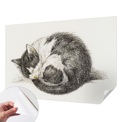 3D photo wallpaper mural with an adorable kitty design