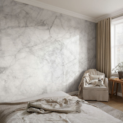 Peel and stick wall mural for living room with a marble elegance design