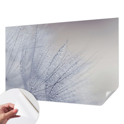 Peel and stick wall mural for living room with a dewy dandelion design