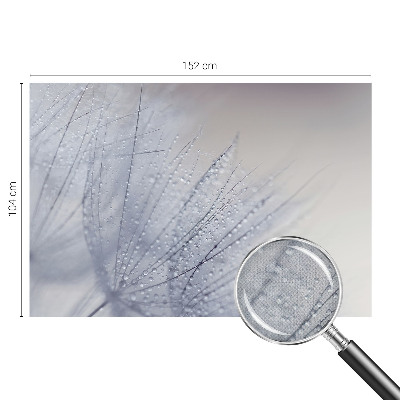 Peel and stick wall mural for living room with a dewy dandelion design
