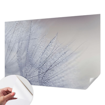 Peel and stick wall mural for living room with a dewy dandelion design