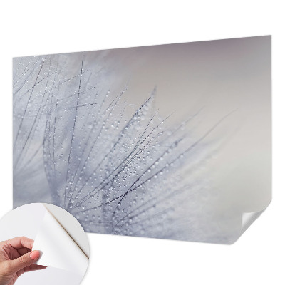 Peel and stick wall mural for living room with a dewy dandelion design