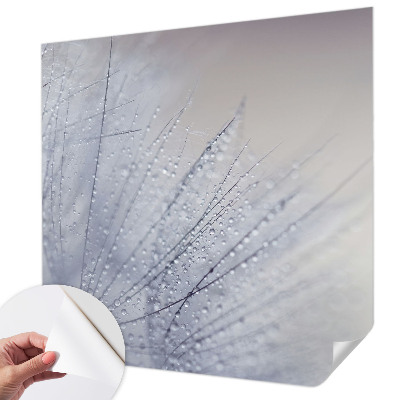 Peel and stick wall mural for living room with a dewy dandelion design