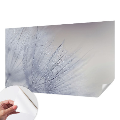 Peel and stick wall mural for living room with a dewy dandelion design