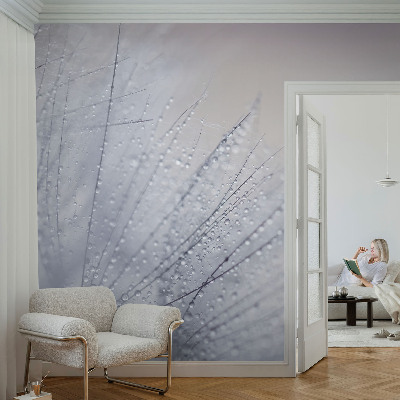 Peel and stick wall mural for living room with a dewy dandelion design