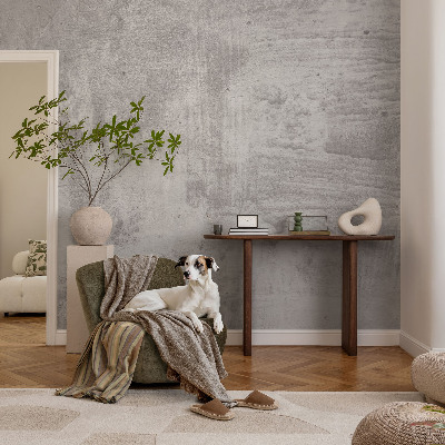 Self-adhesive photo wallpaper with a raw concrete design