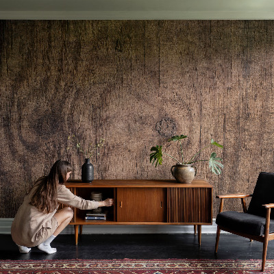 Stick-on wall mural Rustic wood