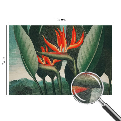 Peel and stick wall mural with an exotic flower design