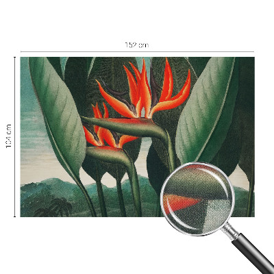 Peel and stick wall mural with an exotic flower design