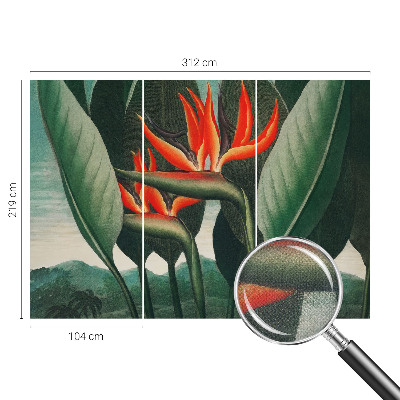 Peel and stick wall mural with an exotic flower design