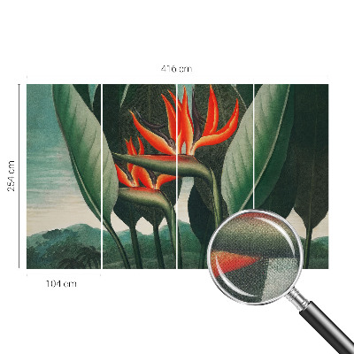 Peel and stick wall mural with an exotic flower design
