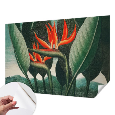 Peel and stick wall mural with an exotic flower design