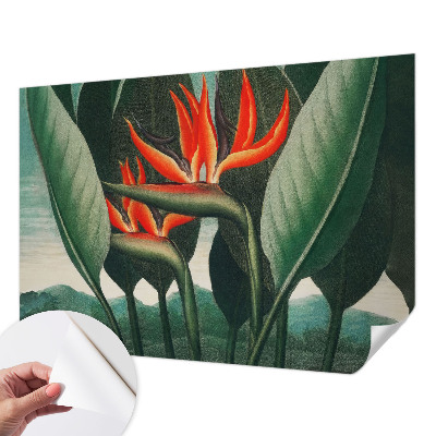 Peel and stick wall mural with an exotic flower design