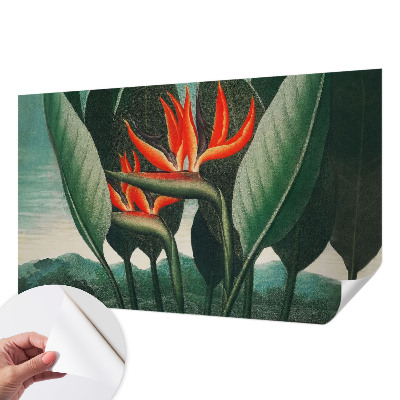 Peel and stick wall mural with an exotic flower design