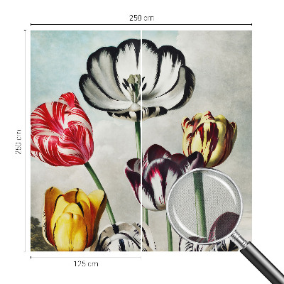 Children's wall mural Colorful tulips