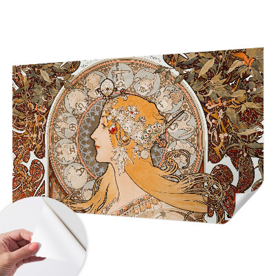 Peel and stick wallpaper mural with a zodiac-themed elegant design