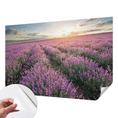 Baby room wall mural Lavender fields