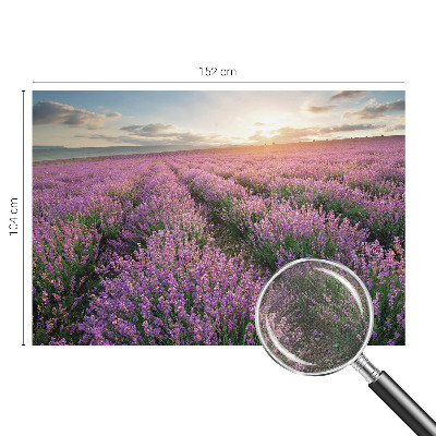 Baby room wall mural with a lavender fields design