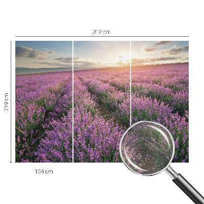 Baby room wall mural with a lavender fields design
