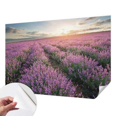 Baby room wall mural Lavender fields