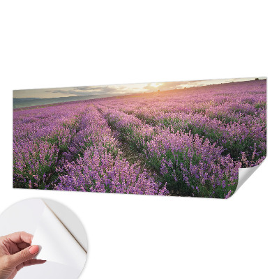 Baby room wall mural with a lavender fields design