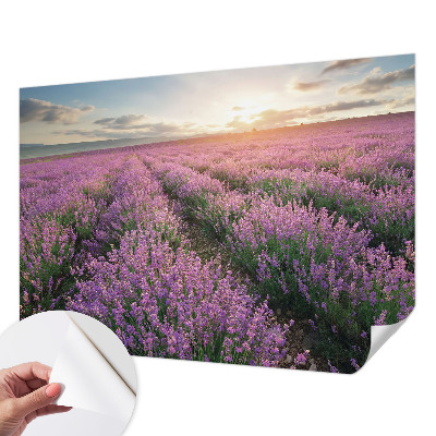 Baby room wall mural with a lavender fields design