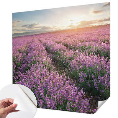 Baby room wall mural Lavender fields