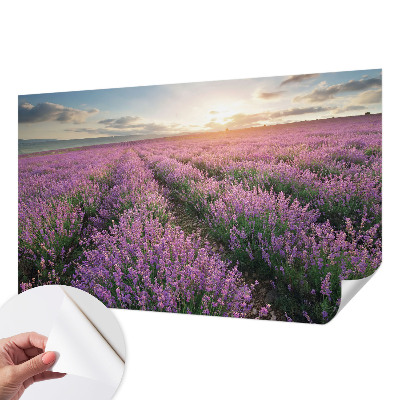 Baby room wall mural with a lavender fields design