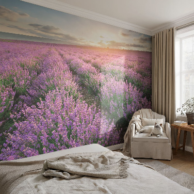 Baby room wall mural with a lavender fields design