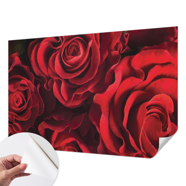 Peel and stick wall mural with a red rose design