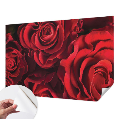 Peel and stick wall mural with a red rose design