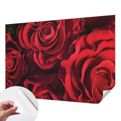 Peel and stick wall mural with a red rose design