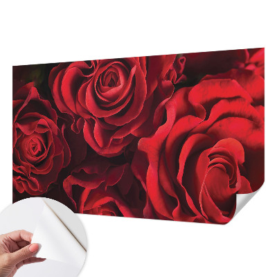 Peel and stick wall mural with a red rose design