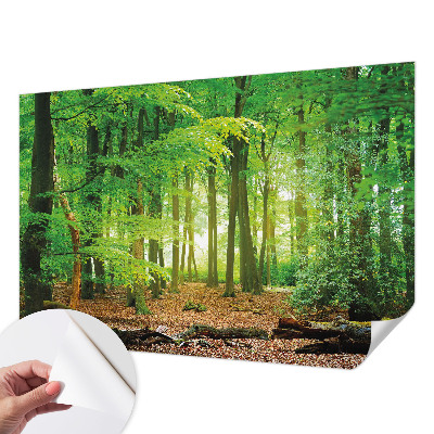 Peel and stick wallpaper mural with a green forest design