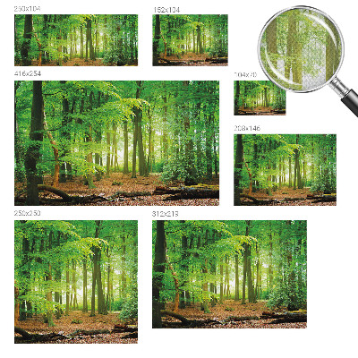 Peel and stick wallpaper mural Green forest